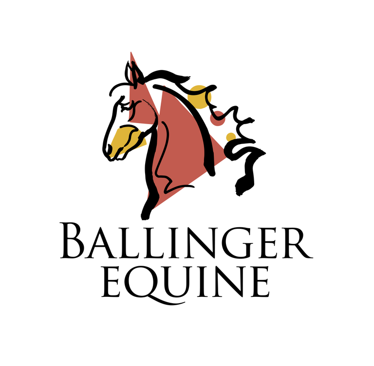 Ballinger Equine