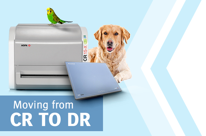 Making the move from CR to DR