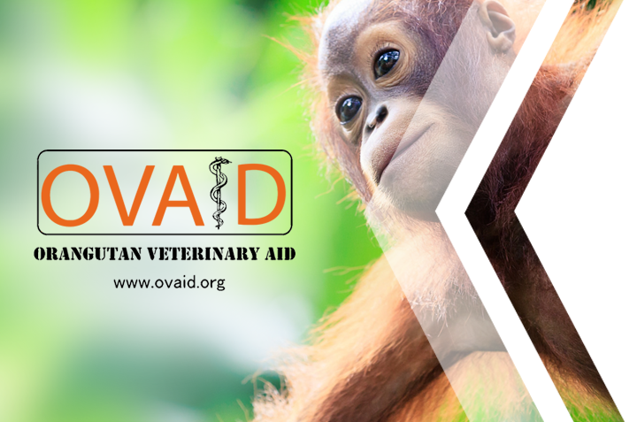 Orangutan Veterinary Aid (OVAID) Support