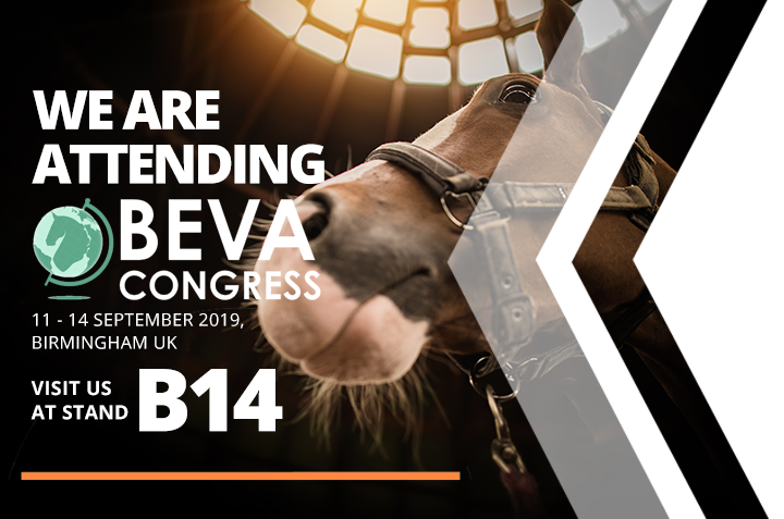 BEVA Congress 2019 – We’re attending!